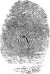 Fingerprint