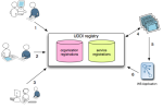 understanding uddi