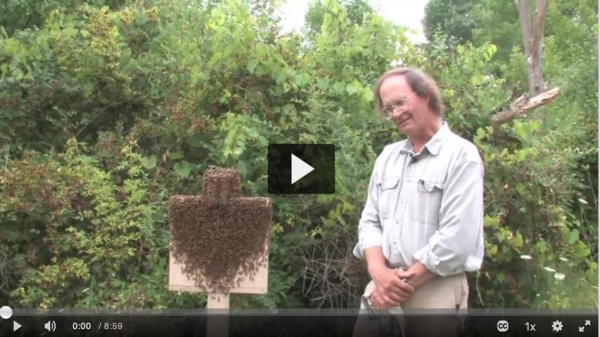 Cornell professor, biologist and beekeeper Thomas Seeley