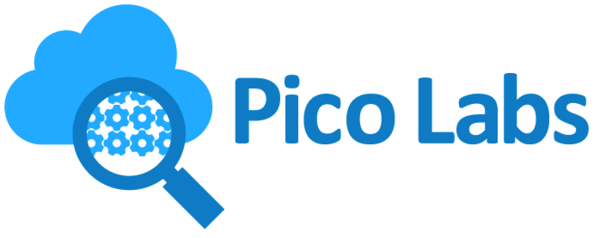 Pico Logo Pico Logo