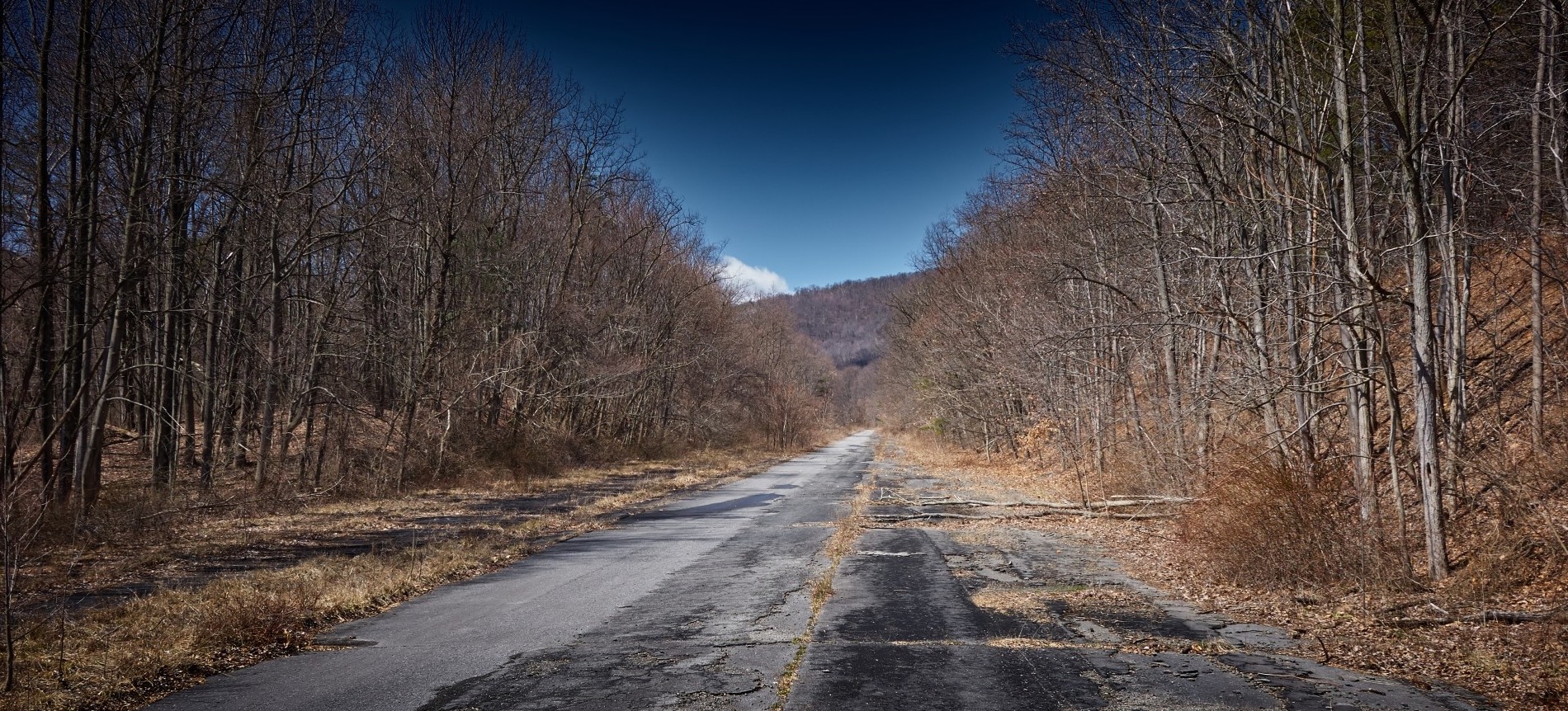 Abandoned Road