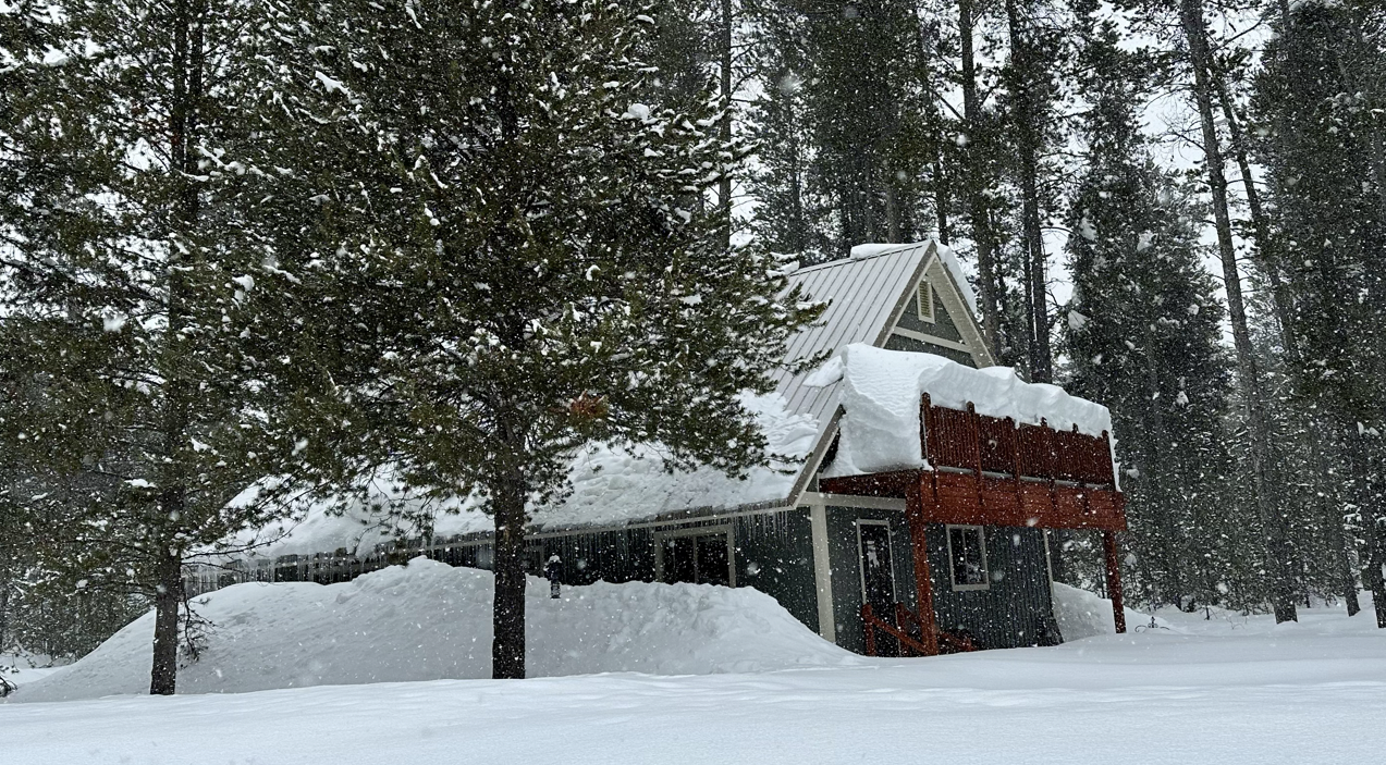 Snow in Island Park