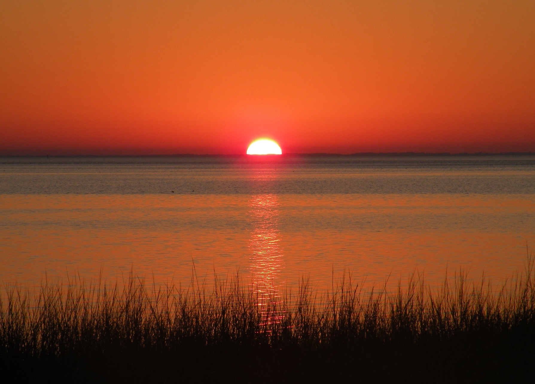 Cloudless Sunset